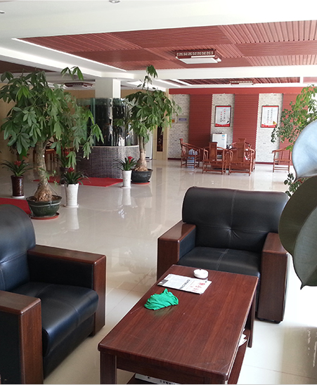 香蕉视频免费在线