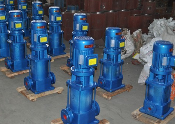 香蕉视频在线观看视频