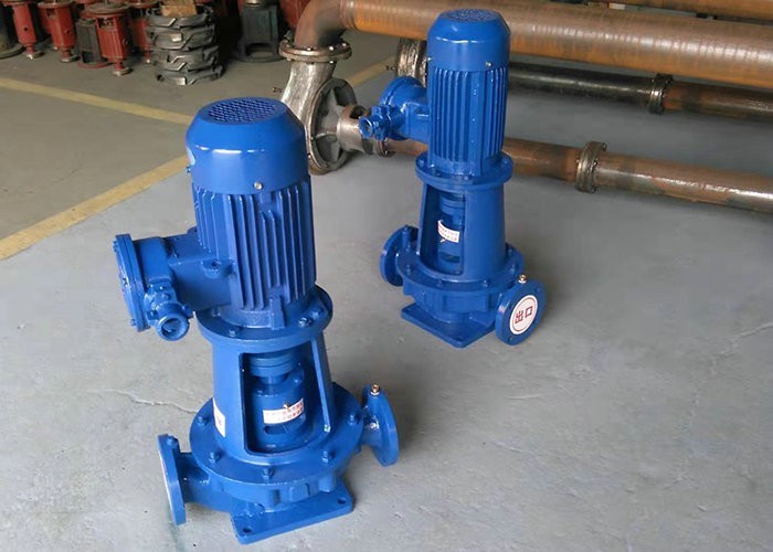 香蕉视频在线观看视频