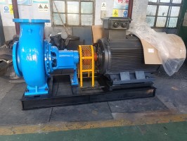 清香蕉视频在线观看视频