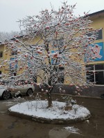 香蕉视频免费在线