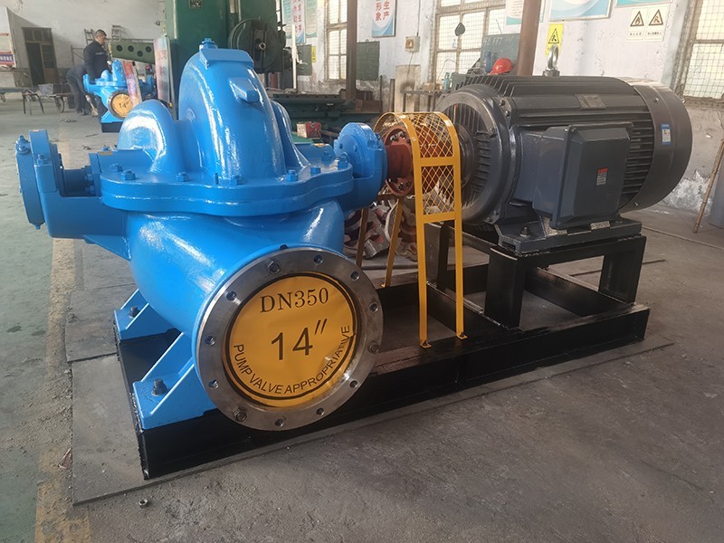 香蕉视频在线观看视频